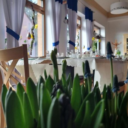 Appartamento Zakatek Reja Kartuzy Esterno foto