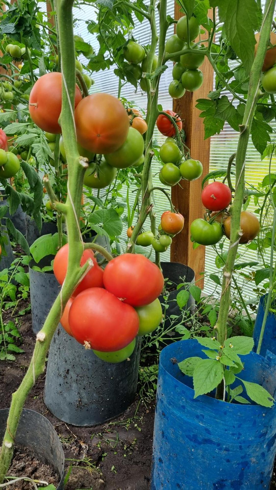 Appartamento Zakatek Reja Kartuzy Esterno foto
